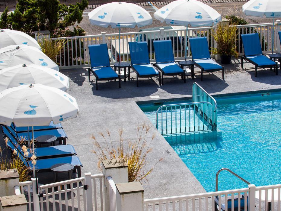 サンドパイパー ビーチ クラブ 写真