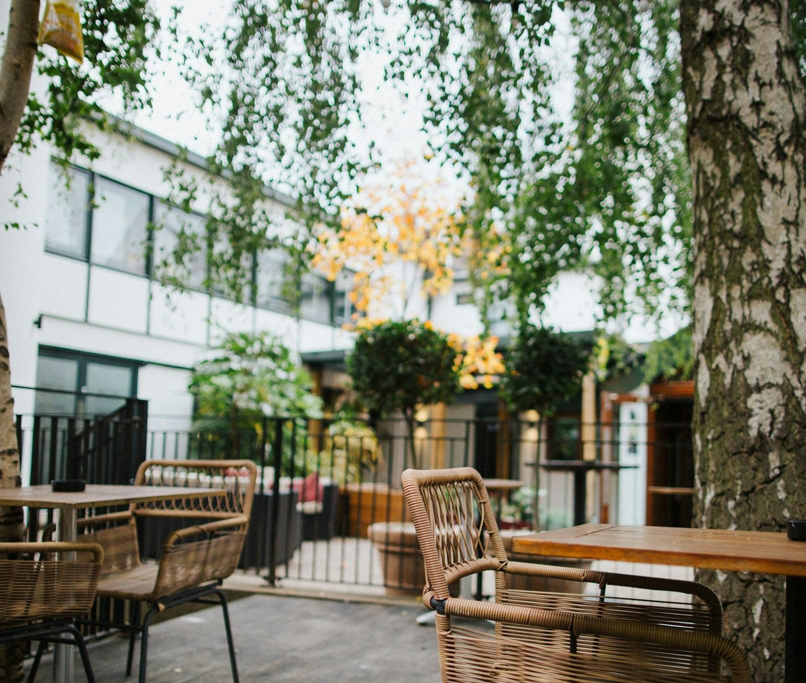 The Globe 写真
