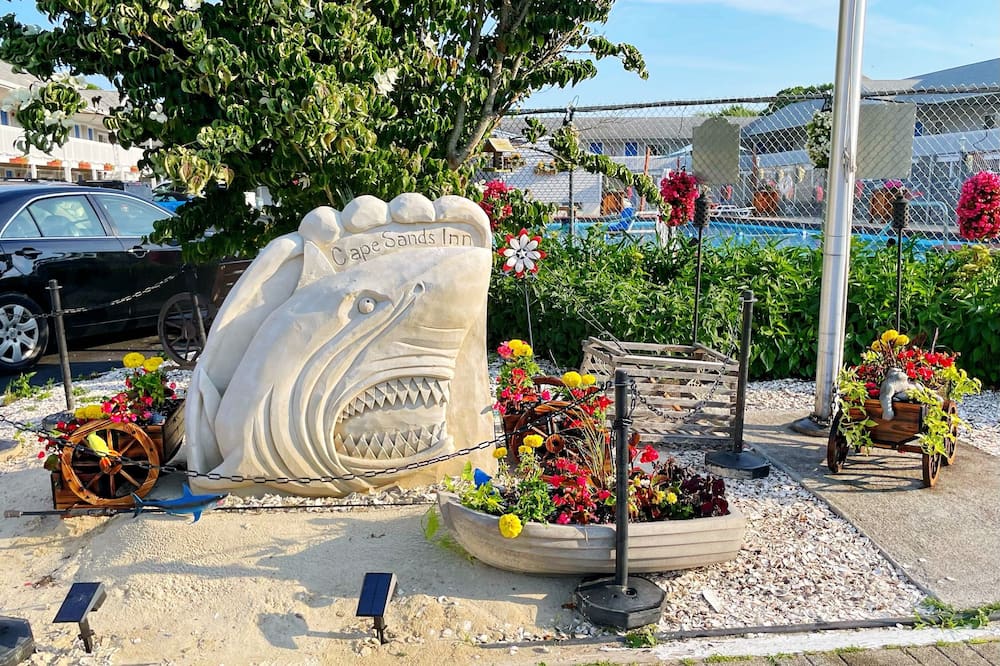 ケープ サンズ イン 写真