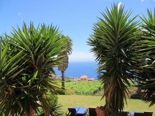 Quinta Alegre 写真