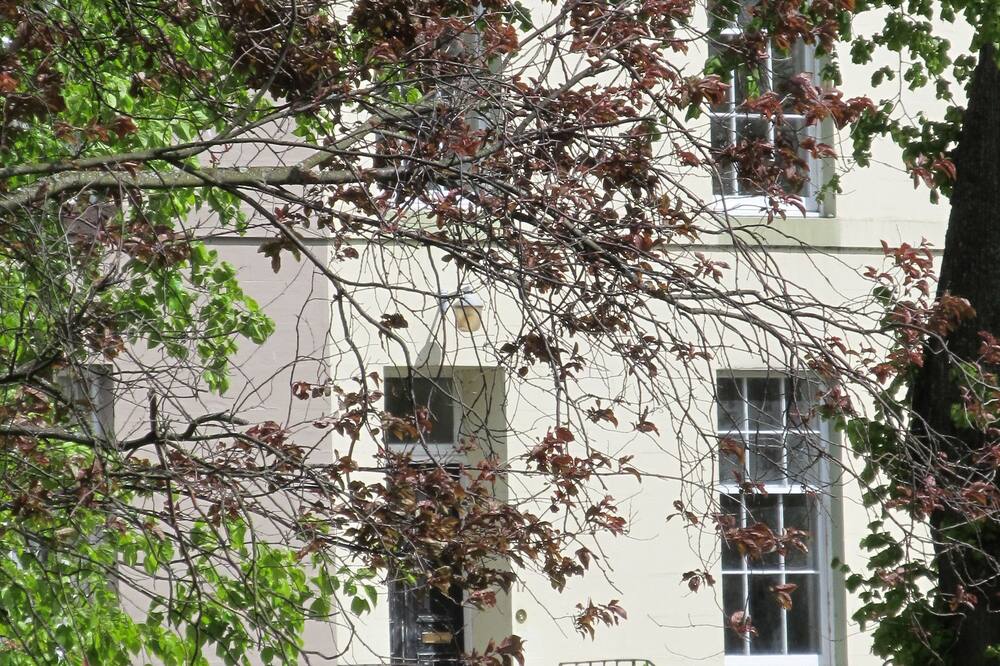 The Townhouse 写真