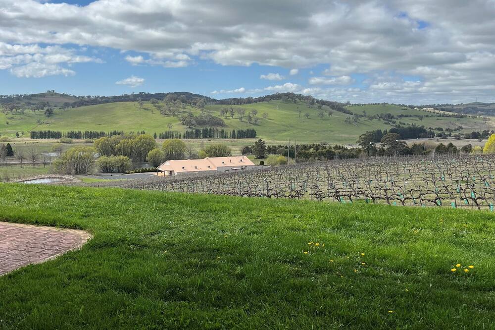 Turners Vineyard Motel 写真