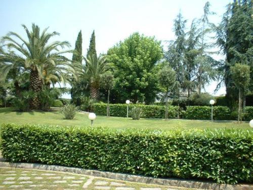 Hotel Giovanna 写真