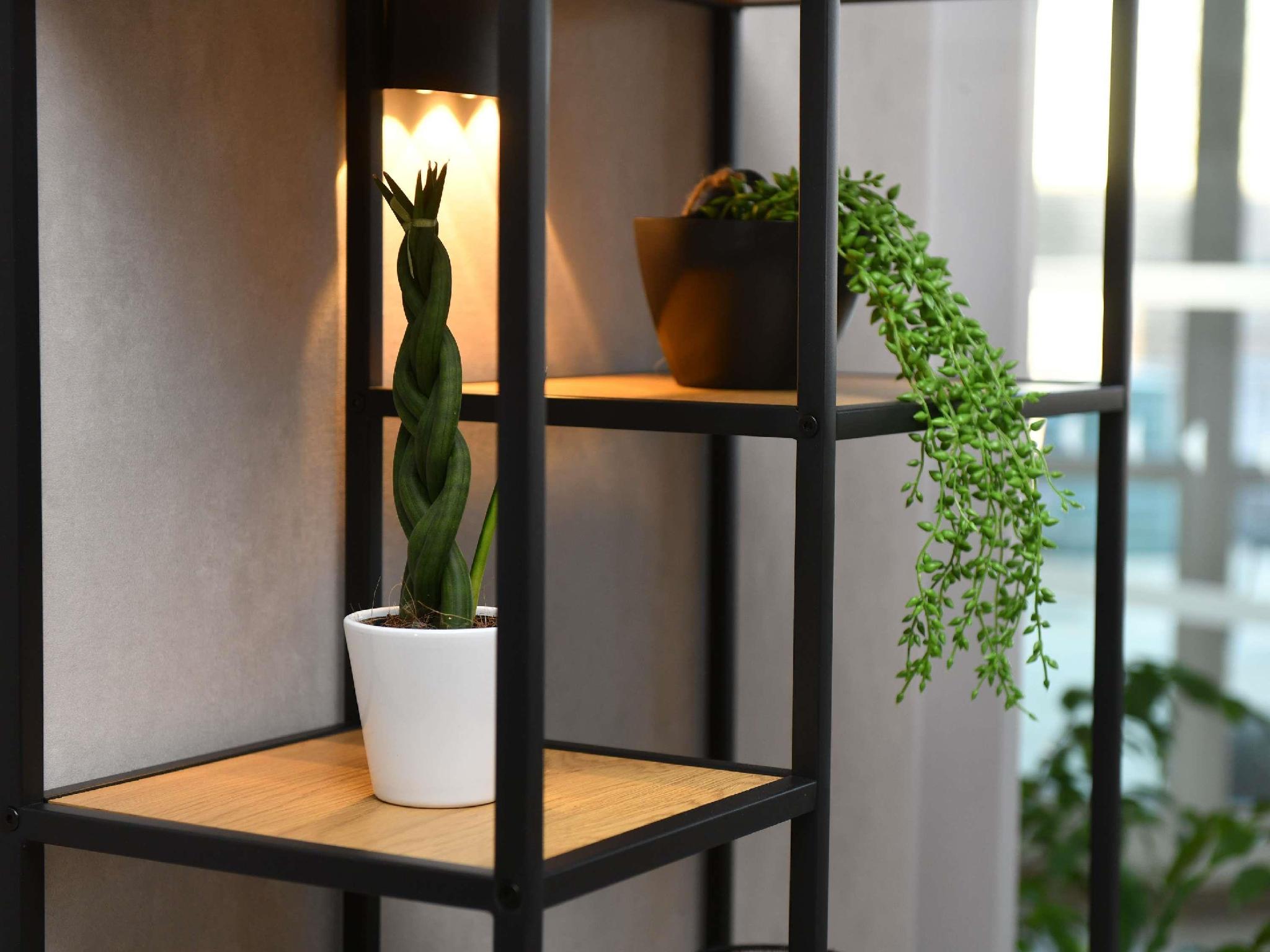 ibis Chateauroux 写真