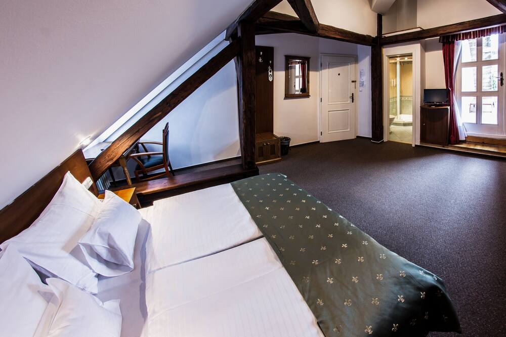 ホテル ドヴォラック チェスキー クルムロフ 写真