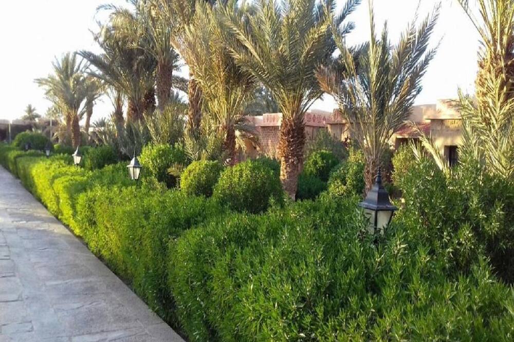 ホテル ベレーレ エルフード 写真