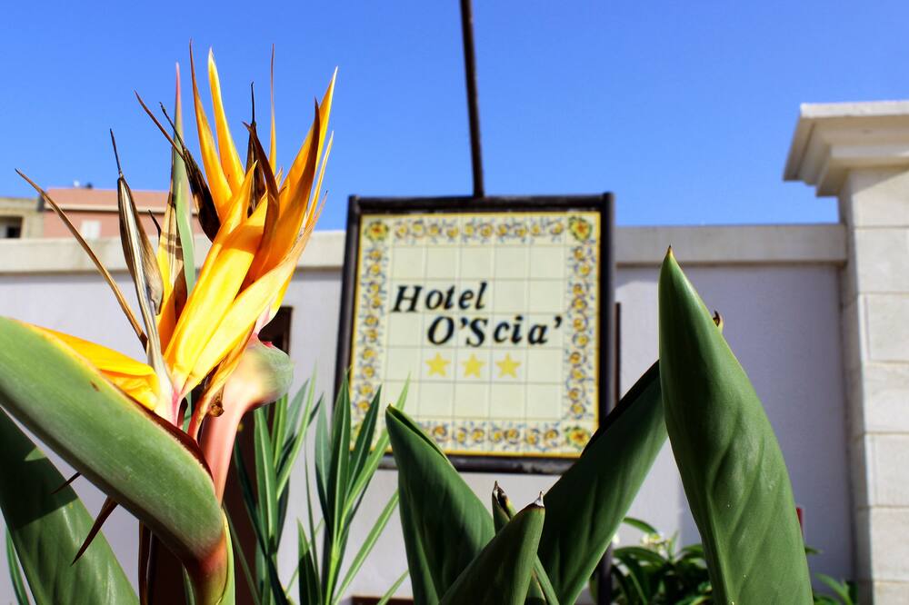 ホテル オ シア 写真