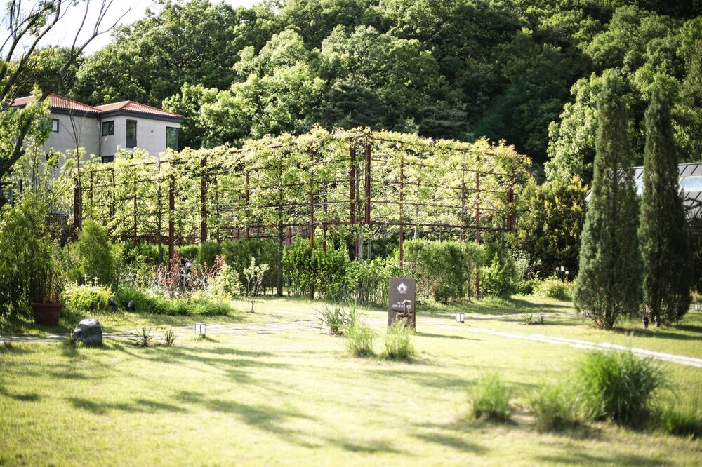 エデン パラダイス ホテル 写真