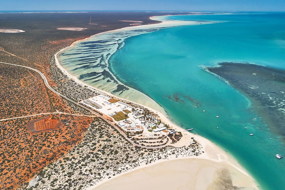 RAC モンキー マイア ドルフィン リゾート 写真