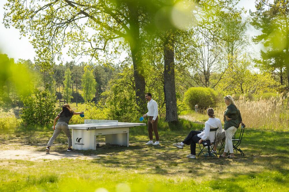 フォーゲルブロ サテリ 写真