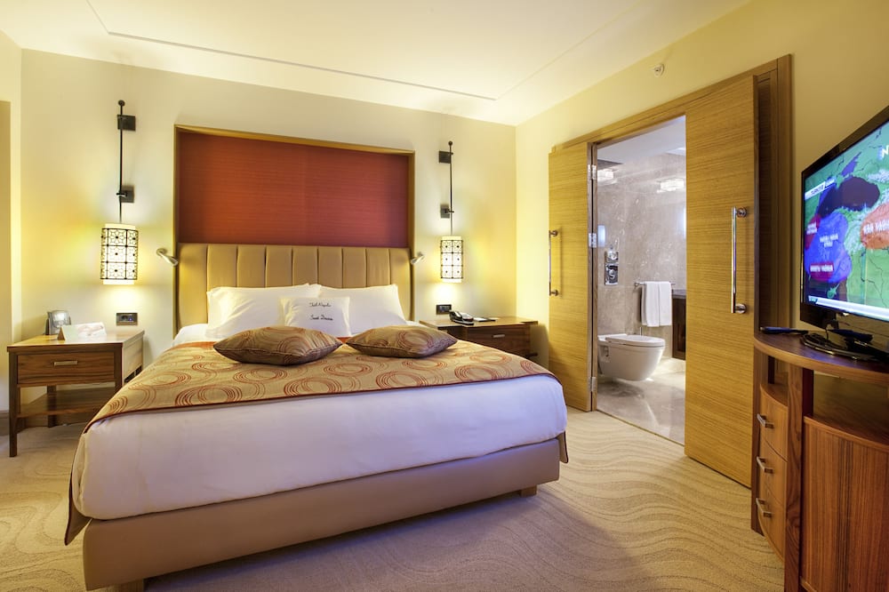 ダブルツリー バイ ヒルトン アヴァノス カッパドキア 写真