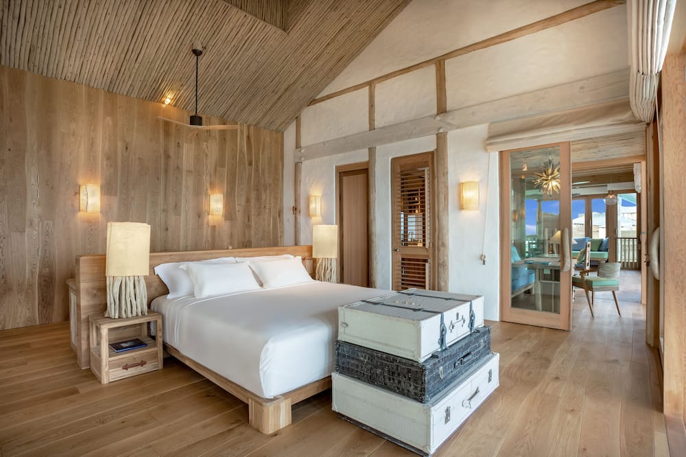 ソネバフシ 写真