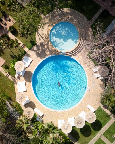 Les Palétuviers 写真