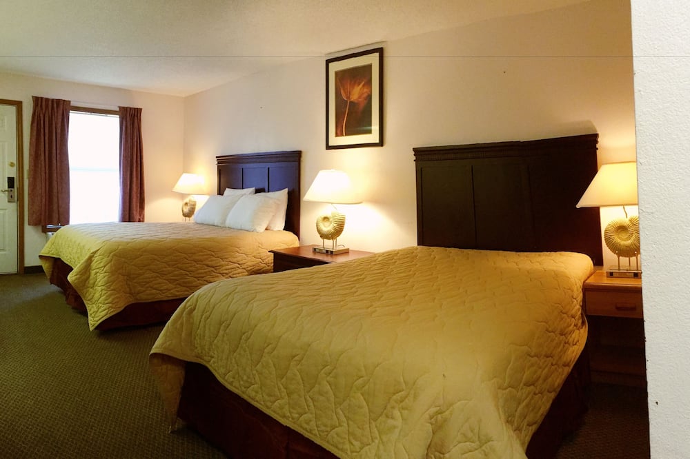 ホテル デル ソル 写真