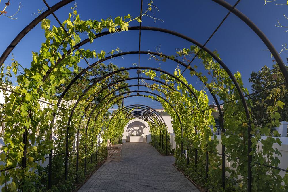 ドロスドゥイホテル 写真