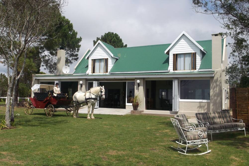 トニクア ステーブル イン 写真