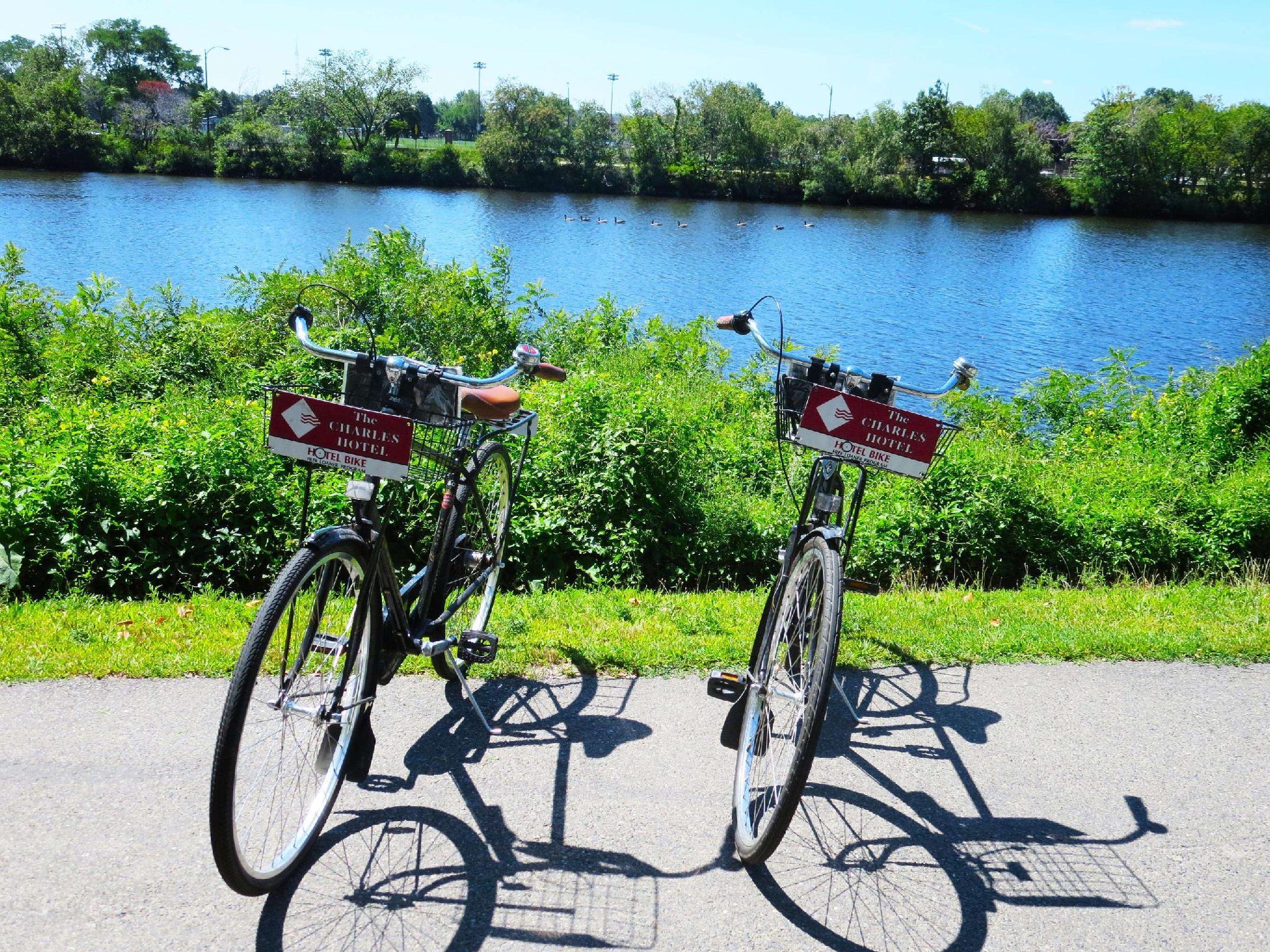 ザ チャールズ ホテル イン ハーバード スクエア 写真