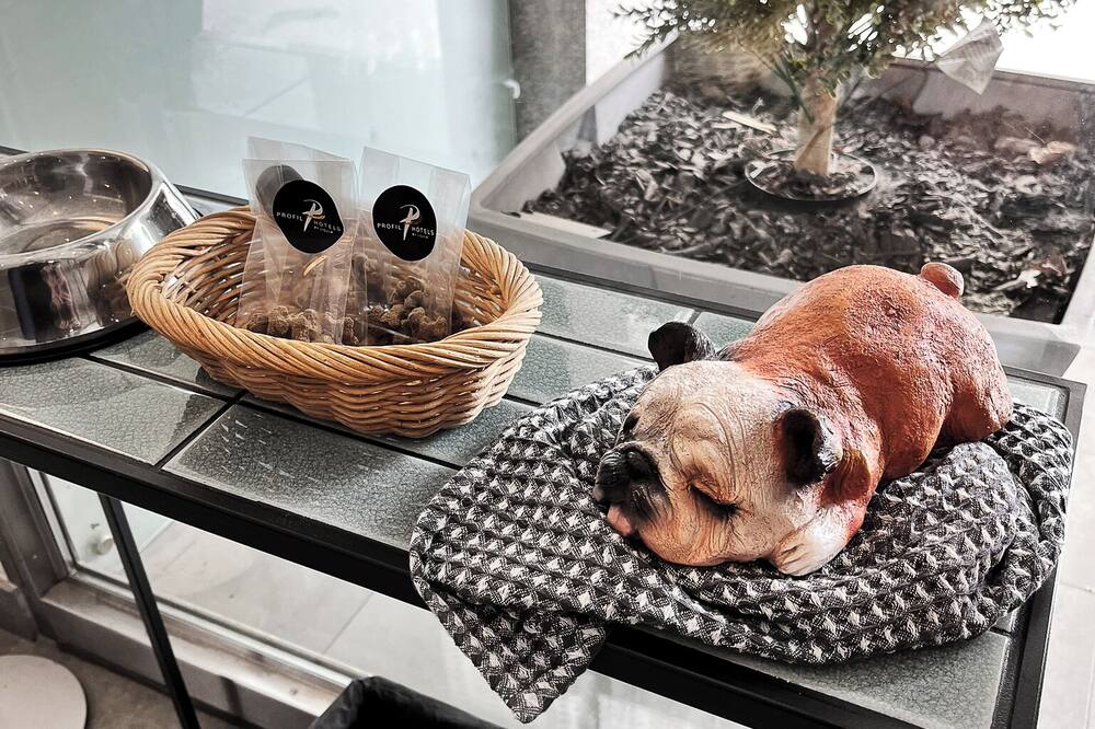 ホテル プレジデント 写真