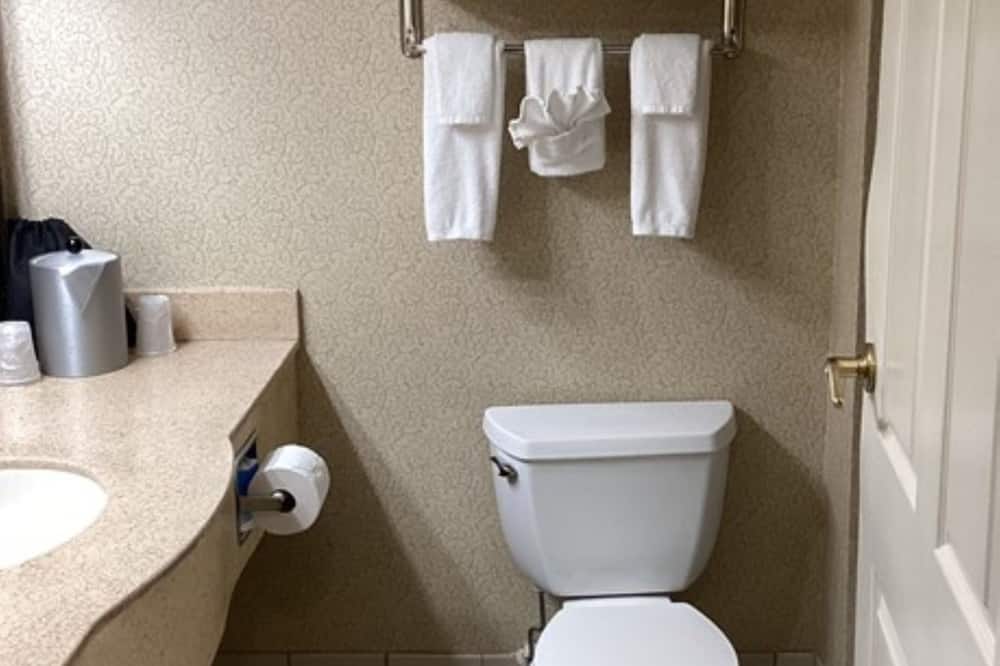 Holiday Inn Vicksburg By IHG 写真