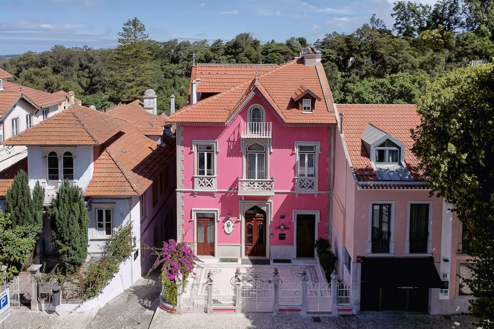 シントラ マルモリス カメリア 写真