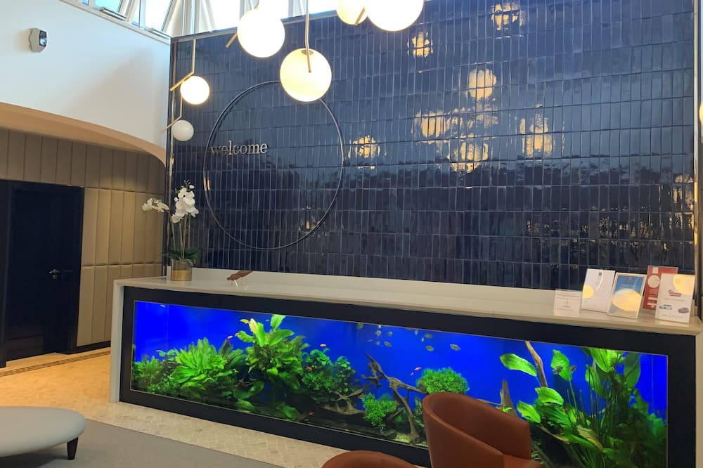 ドゥナス ドウラダス ビーチ クラブ 写真