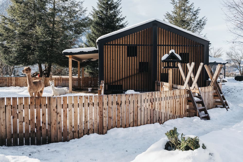 ホテル オーベルフォルストホフ 写真