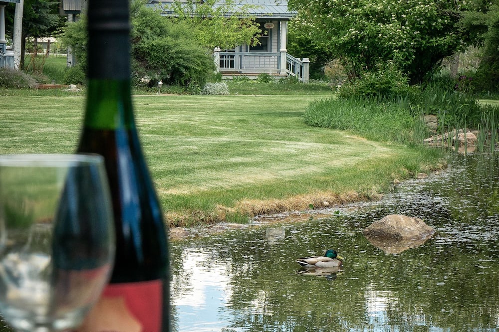 アップル オーチャード イン 写真