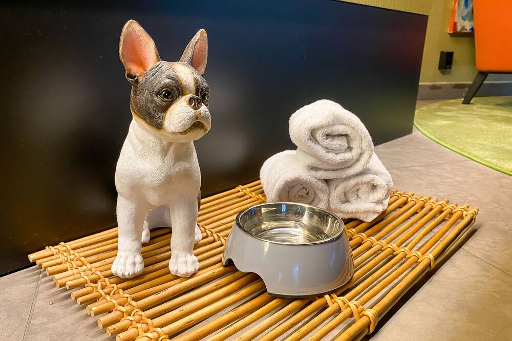 プロフィルホテルズ ナッカ 写真