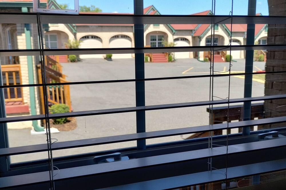 ベスト コート 写真