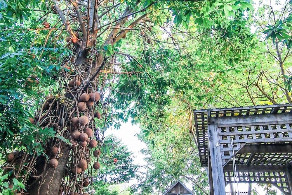 プルータヤ リゾート ＆ スパ 写真