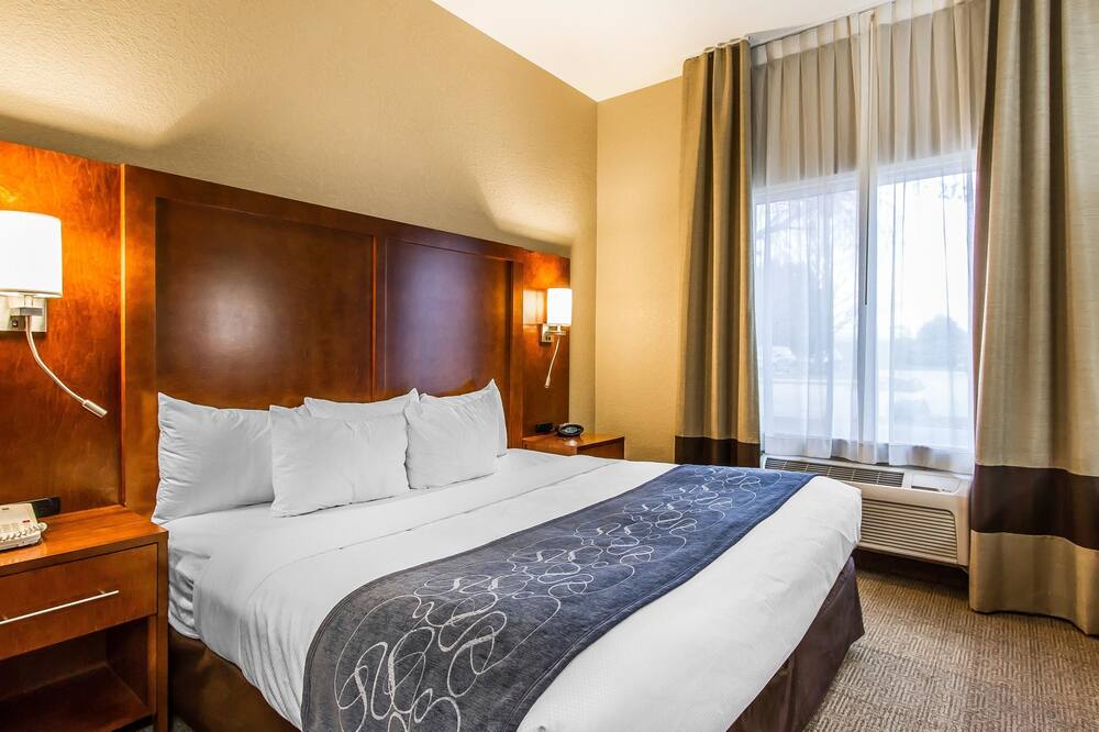 コンフォート スイーツ マトゥーン イースト 写真