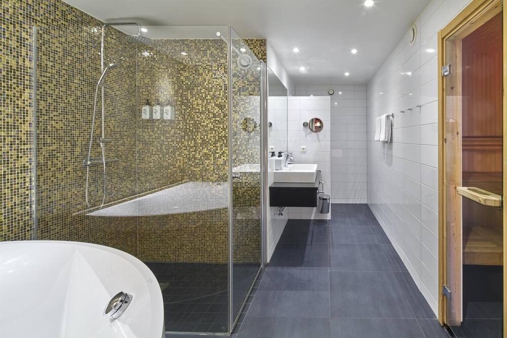 Scandic Europa 写真