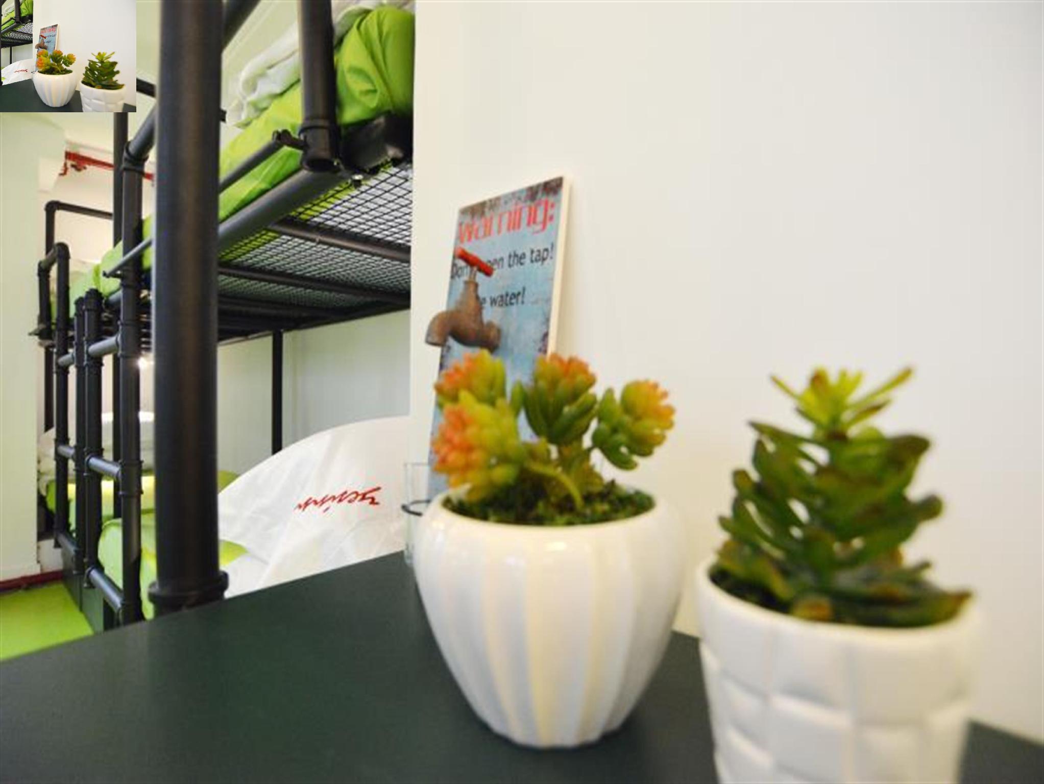 イエスイン アット YMT (〓思青年旅舍) 写真