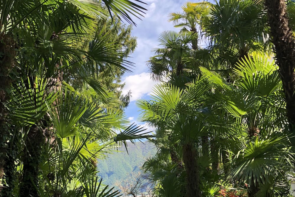 コンチネンタル パークホテル 写真