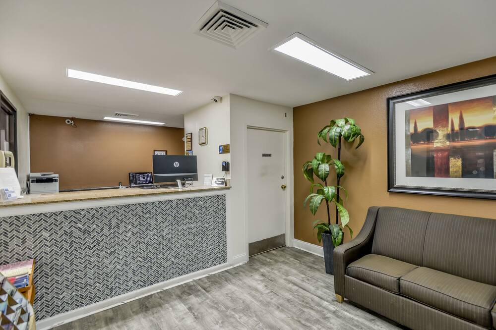 ウェイク イン 写真