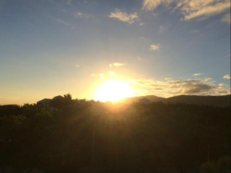 トロピック タワーズ アパートメンツ 写真