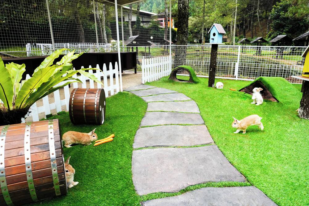 プテリ グノン ホテル 写真