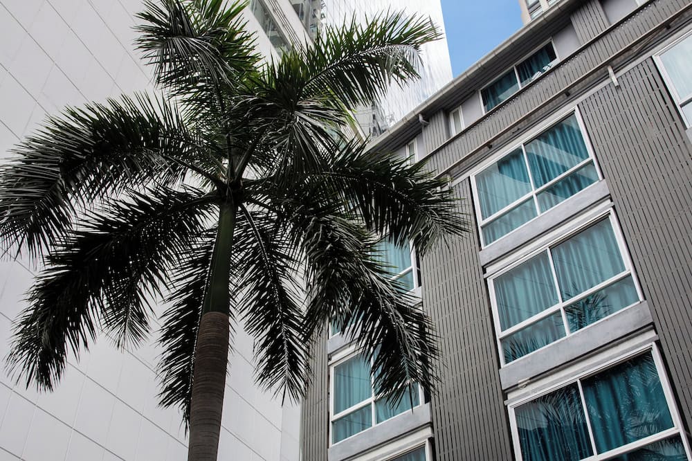 ナントラ スクンビット 39 写真