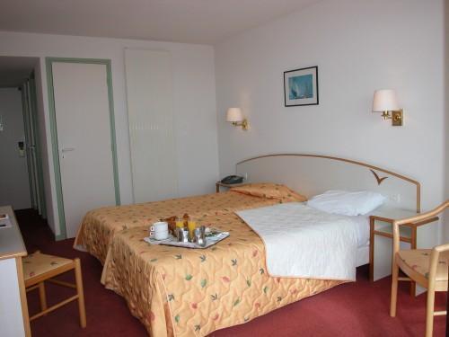 アルバトロス 写真