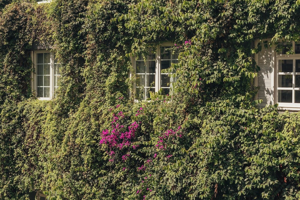 ホテル メヒコ シウダー 写真