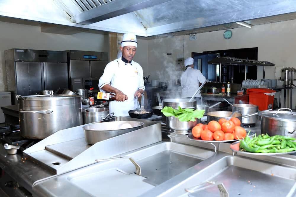 ゴハ ホテル 写真