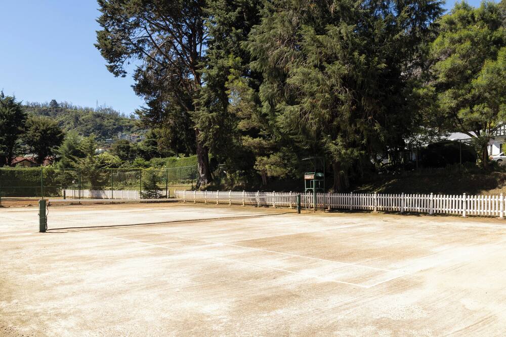 ザ ヒル クラブ 写真