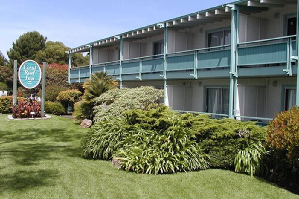 コーラル リーフ イン&コンド スイーツ 写真