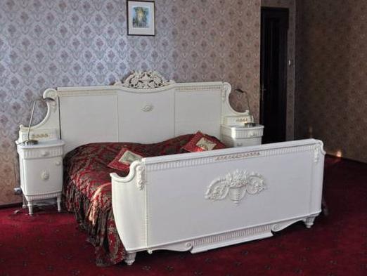 Pałac Piorunów & Spa 写真