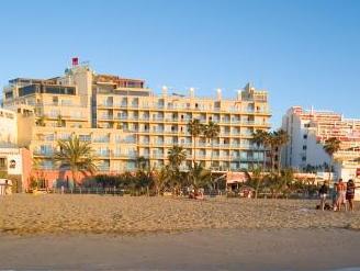 Bull Reina Isabel & SPA 写真