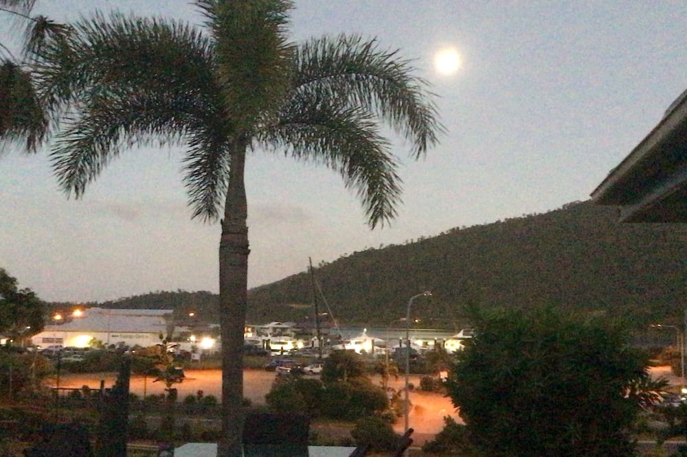 コロニアル パームズ モーター イン 写真