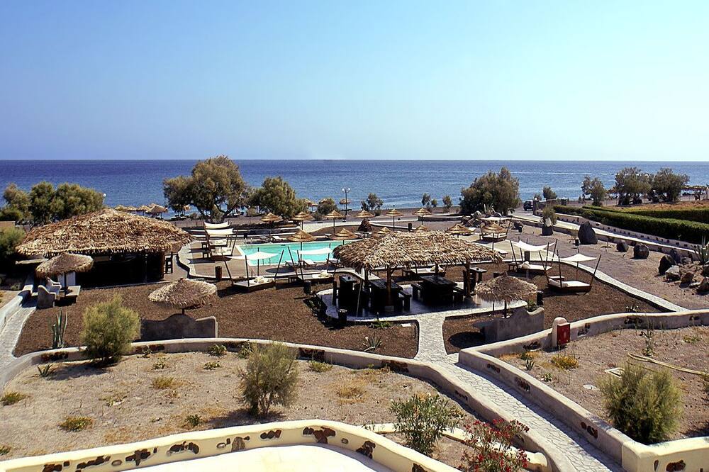 ブラック ローズ スイーツ 写真