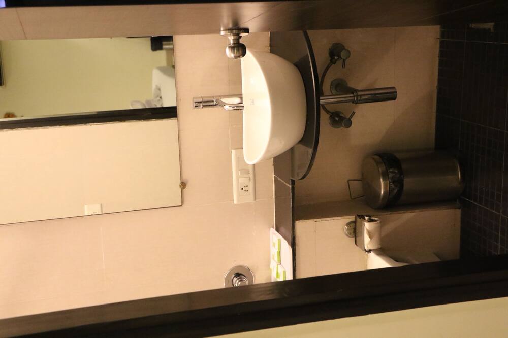 パラヴィ アヴィーダ 写真