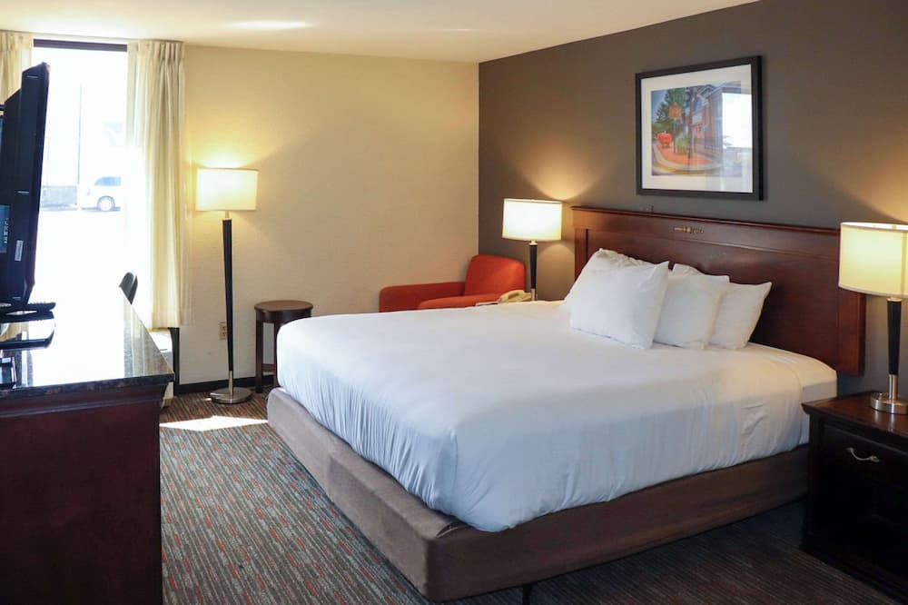 マスタング イン 写真