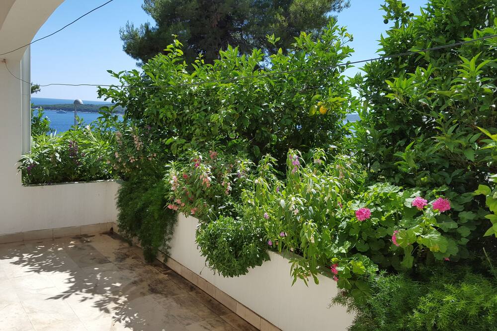 アパートメンツ アンド ルームズ ロゴシック 写真